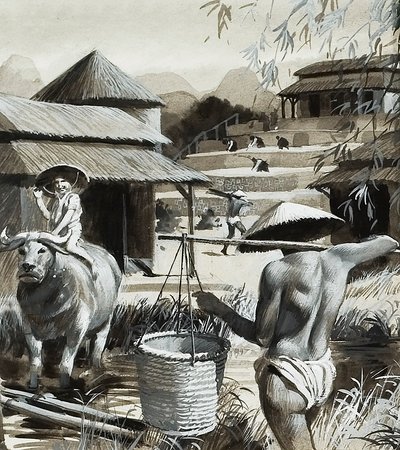 Landbrug i Kina (gouache på papir) af Andrew Howat