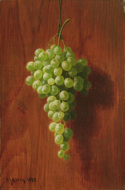 Druer (grønne), 1884 af Andrew John Henry Way