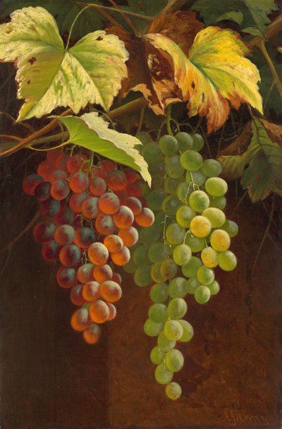 Two Bunches of Grapes, n.d. (olie på lærred) af Andrew John Henry Way