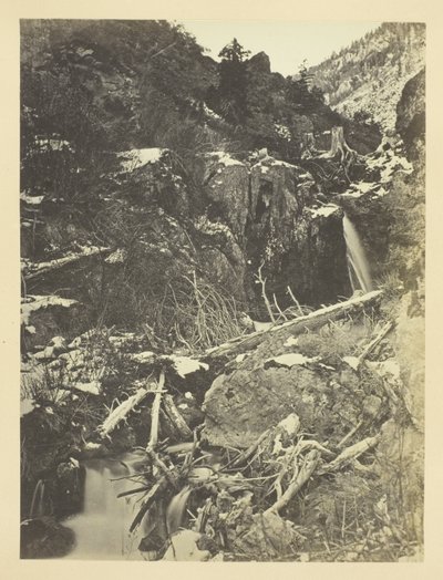 City Creek Canon, Wasatch Mountains, Salt Lake Valley af Andrew Joseph Russell