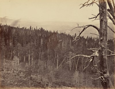 Billede 13. Sne- og tømmerlinje, Laramie-bjergene,1869 (foto) af Andrew Joseph Russell