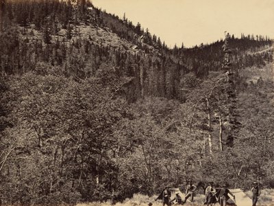 Billede 19. Blandt tømmeret ved begyndelsen af Little Laramie River,1869 (foto) af Andrew Joseph Russell