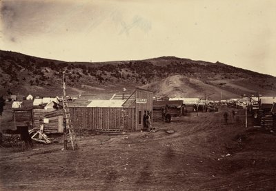 Billede 29. Bear River City, nær kulfelterne,1869 (foto) af Andrew Joseph Russell