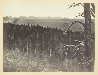 Sne- og tømmerlinje, Medicine Bow Mountain af Andrew Joseph Russell