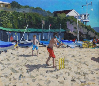 Cricket og gule stubbe, Abersoch af Andrew Macara