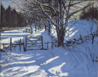 Port nær Youlgreave, Derbyshire af Andrew Macara