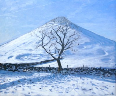 Hill and Tree, Derbyshire, 2008 af Andrew Macara