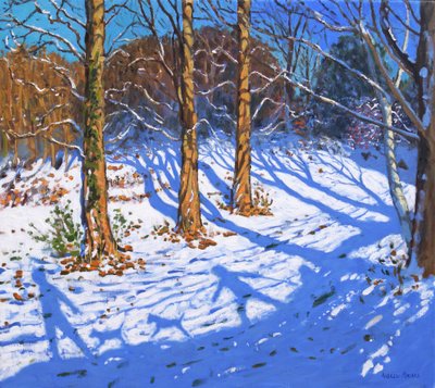 November sne, Allestree Park,Derby, 2017, af Andrew Macara
