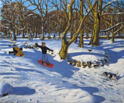 Red sledge, Lomberdale Hall, Derbyshire, 2014, af Andrew Macara