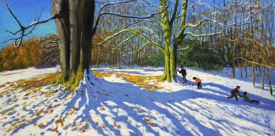 Top of Allestree Park, 2014 (olie på lærred) af Andrew Macara