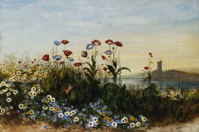 Ferrycarrig Castle, Co. Wexford, set gennem en bank af vilde blomster, af Andrew Nicholl