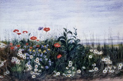 Markblomster. Maleri af Andrew Nicholl (1804-1886) Privat samling. af Andrew Nicholl