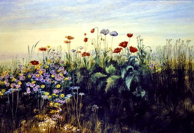 Vilde blomster (akvarel på papir) af Andrew Nicholl