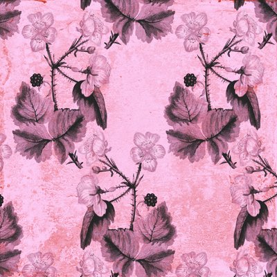 Blackberry Floral, 2017, akvarel og digital af Andrew Watson