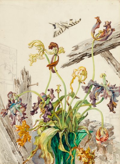 Tulipaner af Andrey Avinoff
