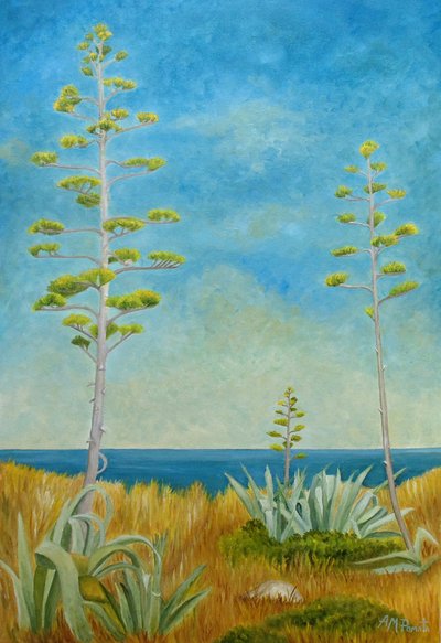 Agave ved havet af Angeles M. Pomata