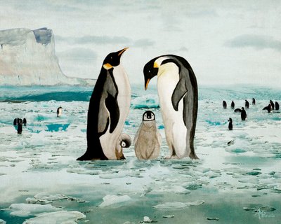 En familie af kejserpingviner af Angeles M. Pomata