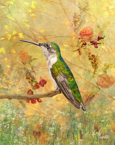 Den gyldne kolibri-siddepind af Angeles M. Pomata