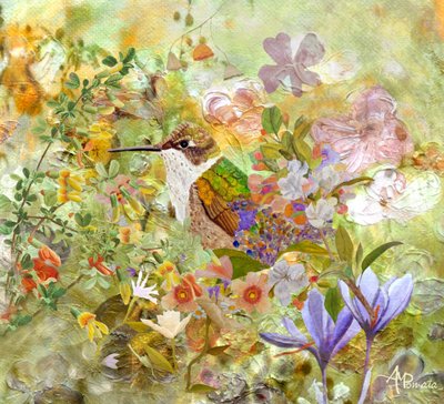 Blomster til kolibrihaven af Angeles M. Pomata