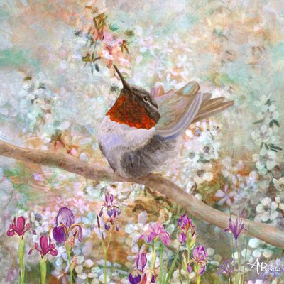 Kolibri i blomst af Angeles M. Pomata