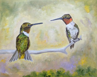 Et kolibri-par sidder på en gren af Angeles M. Pomata