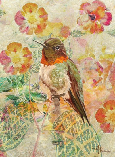 Kolibri og blomster af Angeles M. Pomata