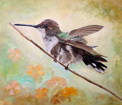 Kolibri på en gren af Angeles M. Pomata