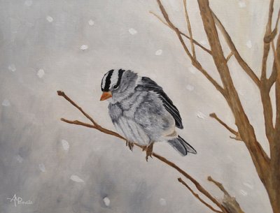 Stille vinterspurv af Angeles M. Pomata