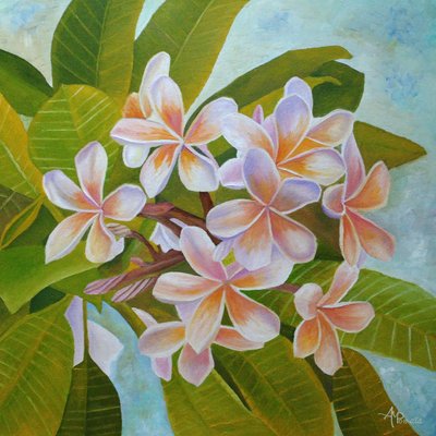 Bløde plumeria-blomster af Angeles M. Pomata