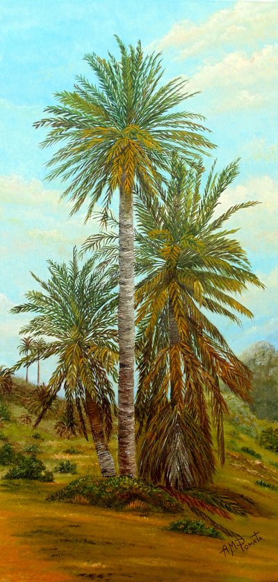 Solbeskinnede ørkenpalmer af Angeles M. Pomata