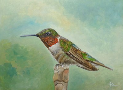 En livlig kolibri, der sidder på en gren af Angeles M. Pomata