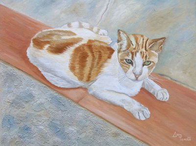 Den opmærksomme orange tabby af Angeles M. Pomata