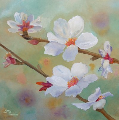 Hvide mandelblomster af Angeles M. Pomata