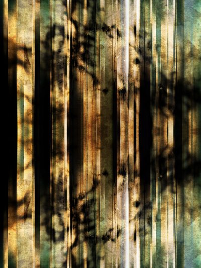 Abstrakt: Skovskygger af Angelo Cerantola
