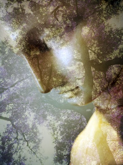 Ethereal Forest-profil af Angelo Cerantola