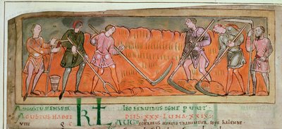 Cott Tib B V f.6v Harvesting, from a Calendar, c.1030 (vellum) (detalje af 41681) af Anglo Saxon