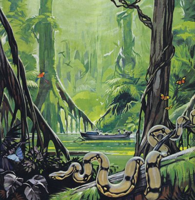 På opdagelse i Amazonfloden (farvelitografi) af Angus McBride