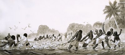 Indfødte i Caribien bruger net til at trawle havet for fisk af Angus McBride