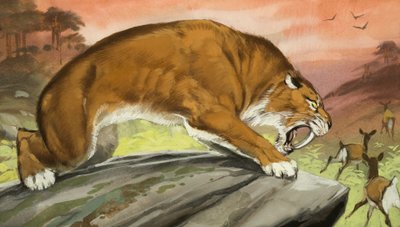 Sabeltandede tigre på jagt af Angus McBride