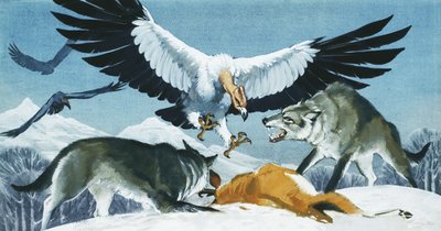 Teratornis af Angus McBride
