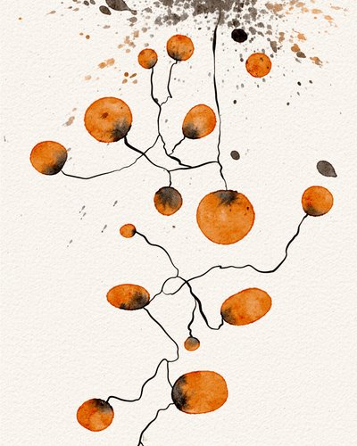 Tilknyttede Orange-formularer af Ankie Kooi