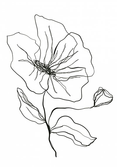Skitse af en yndig blomst af Ankie Kooi