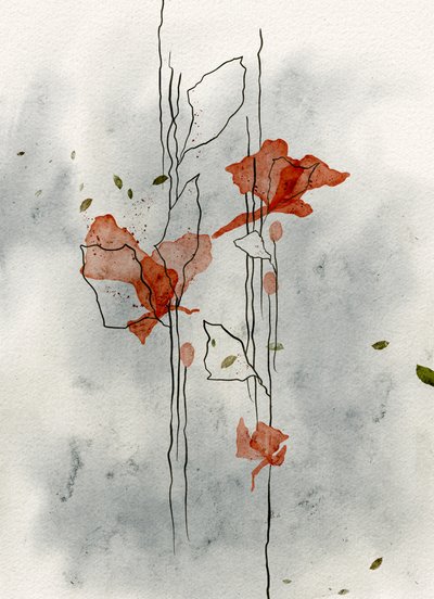 Delikate valmuer blomstrer af Ankie Kooi