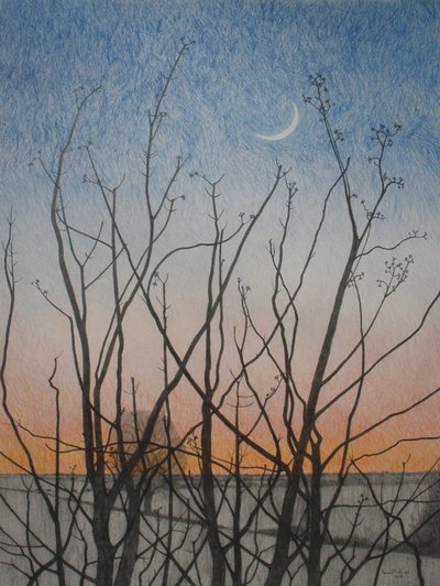 Fra mit vindue, 2011 (farvet blyant på papir) af Anna Phillips