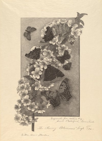 The Cherry Blossoms - High Tea af Anna Botsford Comstock