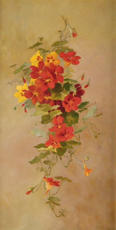 Nasturtiums af Anna Eliza Hardy