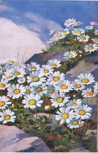 Tusindfryd, postkort, 1940