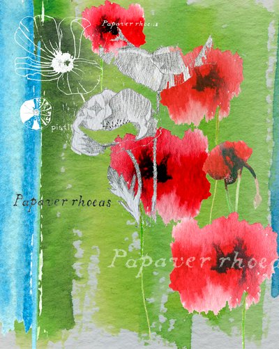 Valmue af Anna Platts