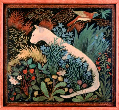 Albino af Anna Pugh