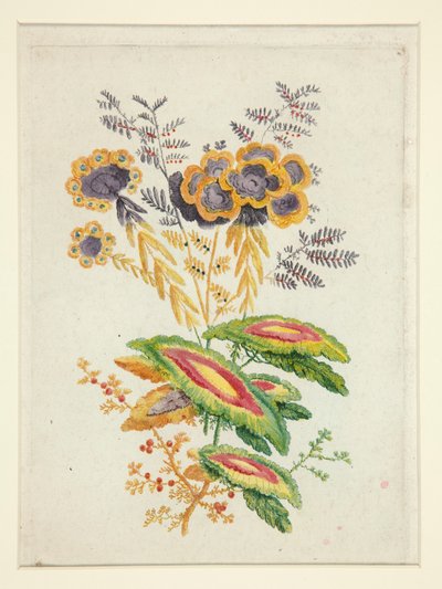 Fantastiske blomster fra New Suite of Notebooks of Ideal Flowers til brug for designere og malere af Anne Allen
